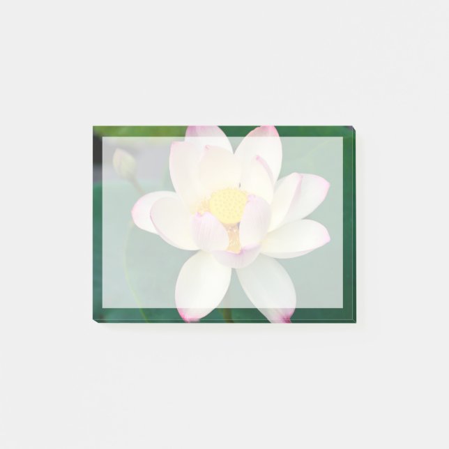 Bloco De Notas Flores | Flor de Água Lotus (Frente)