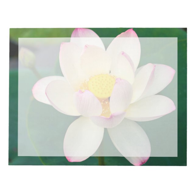 Bloco De Notas Flores | Flor de Lótus de Água (Frente)