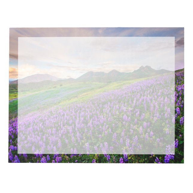 Bloco De Notas Flores | Flores Silvestres da Califórnia (Frente)