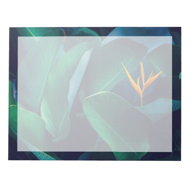 Bloco De Notas Flores | Pássaro do Paraíso (Frente)