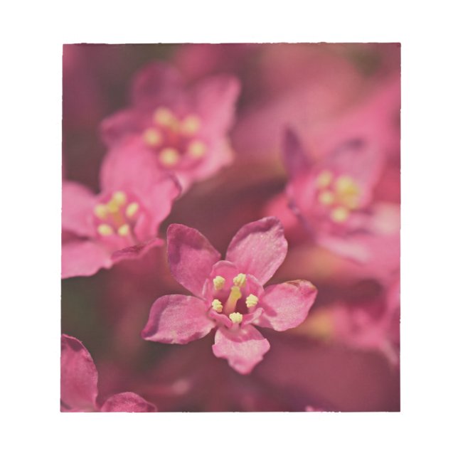 Bloco De Notas Flores Rosa Bonitas (Frente)