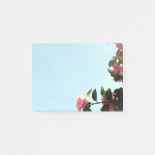 Bloco De Notas Flores Rosa Da Camellia Com Céu Azul