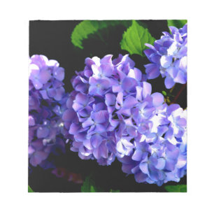 Bloco De Notas Flores roxas, flores azuis