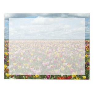 Bloco De Notas Flores   Tulipas Willamette Valley Oregon