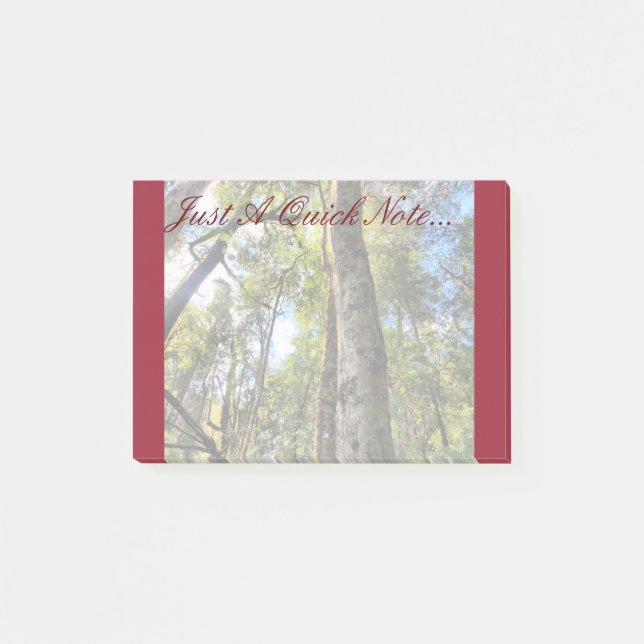 Bloco De Notas Floresta Tropical Australiana Eucalyptus Gum Trees (Frente)