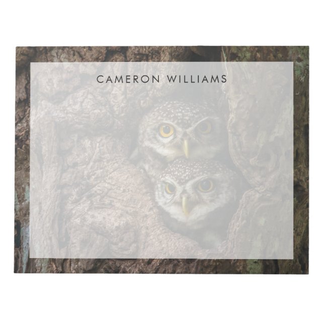 Bloco De Notas Florestas | Duas Corujas (Frente)