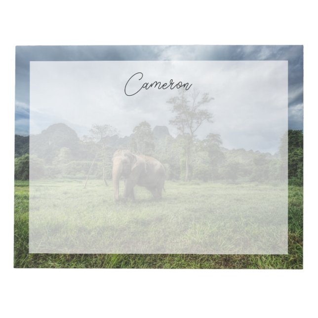 Bloco De Notas Florestas | Parque Nacional de Kao Sok (Frente)