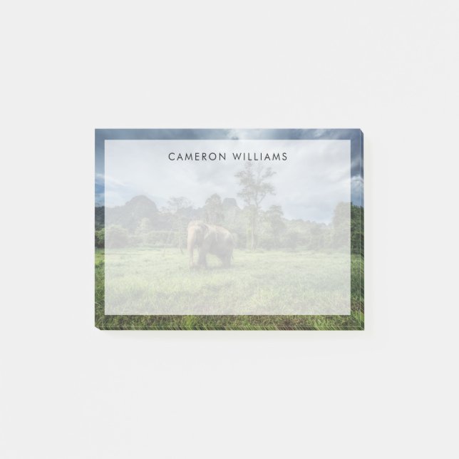 Bloco De Notas Florestas | Parque Nacional de Kao Sok (Frente)