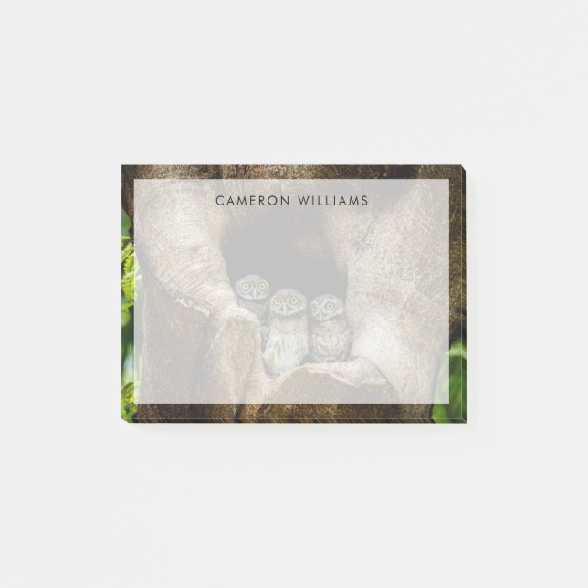 Bloco De Notas Florestas | Três Corujas (Frente)