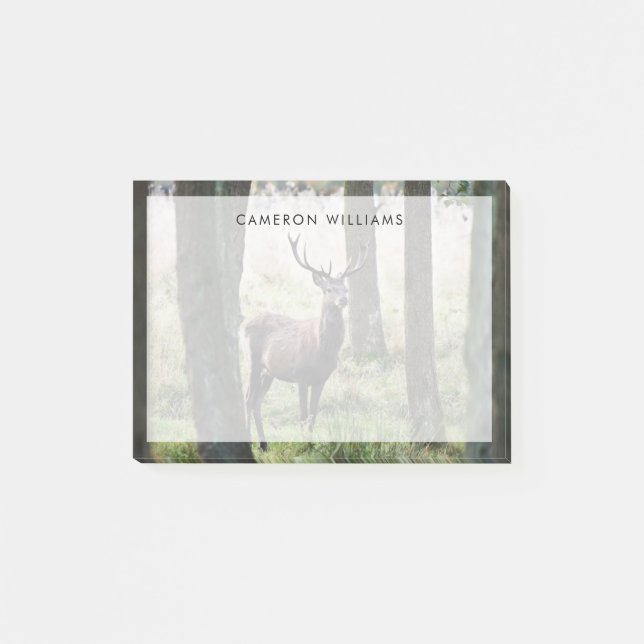 Bloco De Notas Florestas | Woodlands & Red Deer (Frente)