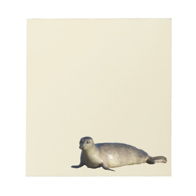 Bloco De Notas Foca-comum em La Jolla Califórnia (Frente)