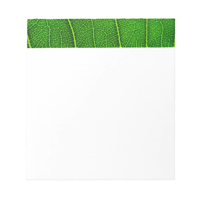 Bloco De Notas Folha de árvore verde (Frente)