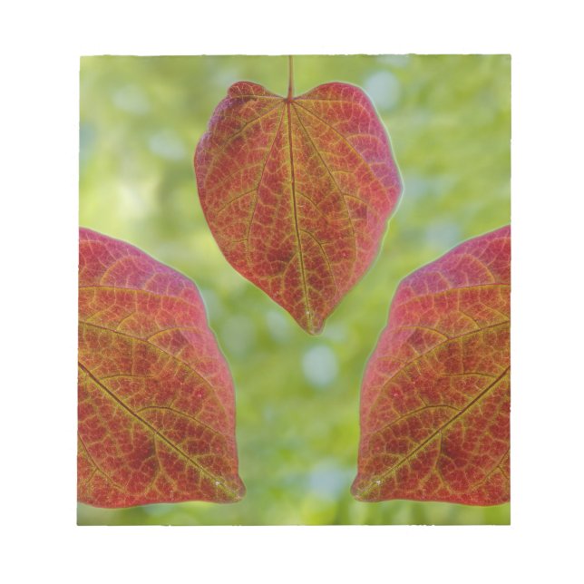 Bloco De Notas Folhas de Amor da Natureza (Frente)