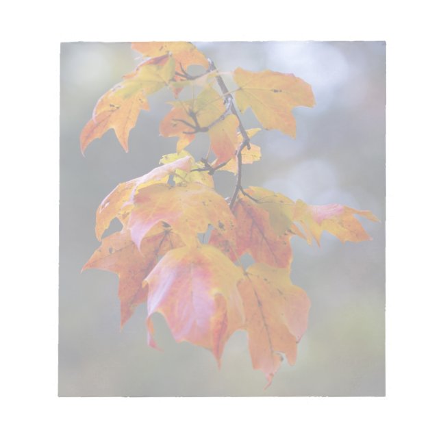 Bloco De Notas Folhas de outono (Frente)