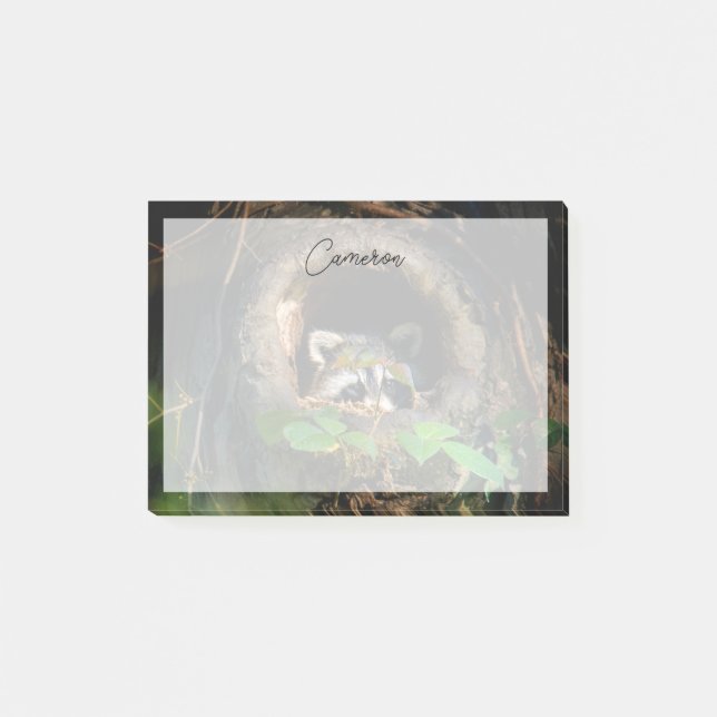 Bloco De Notas Forests | Raccoon Peeking (Frente)
