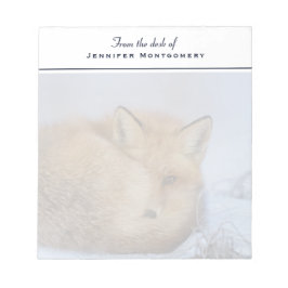 Bloco De Notas Foto De Inverno Enrolada De Raposa Bela