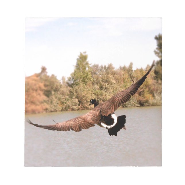 Bloco De Notas foto de pato voando sobre a água (Frente)