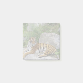 Bloco De Notas Foto de retrato de um tigre siberiano