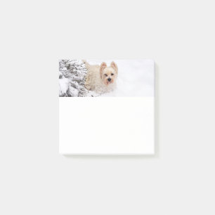Bloco De Notas Foto do Cachorro de Neve Carta 3x3 Notas Postadas
