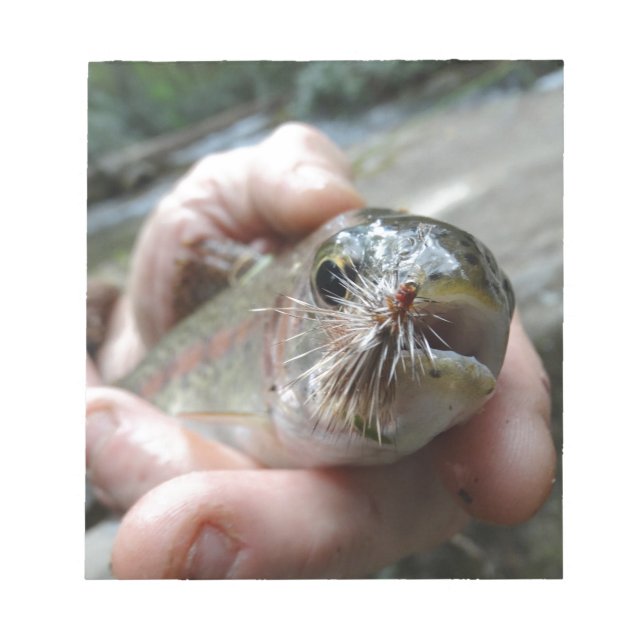 Bloco De Notas Foto do Rainbow Trout (Frente)