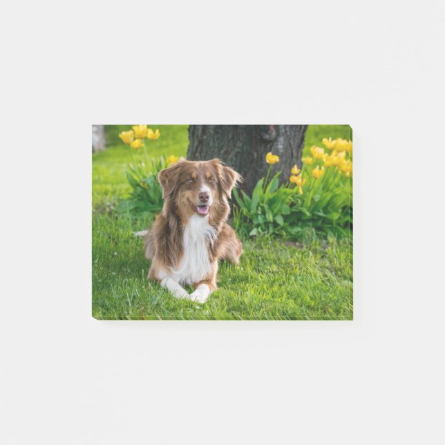 Bloco De Notas Foto personalizada do cão de estimação (Frente)