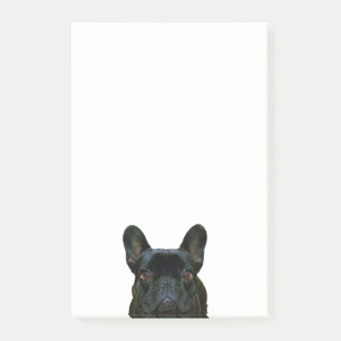 Bloco De Notas Fotografia francesa do Bulldog Negro e Bonito: