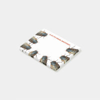 Fotos de Insetos Cicadas, Insetos Personalizados