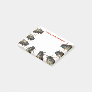 Bloco De Notas Fotos de Insetos Cicadas, Insetos Personalizados