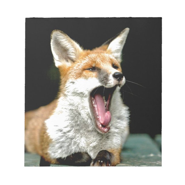 Bloco De Notas Fox - foto pro (Frente)