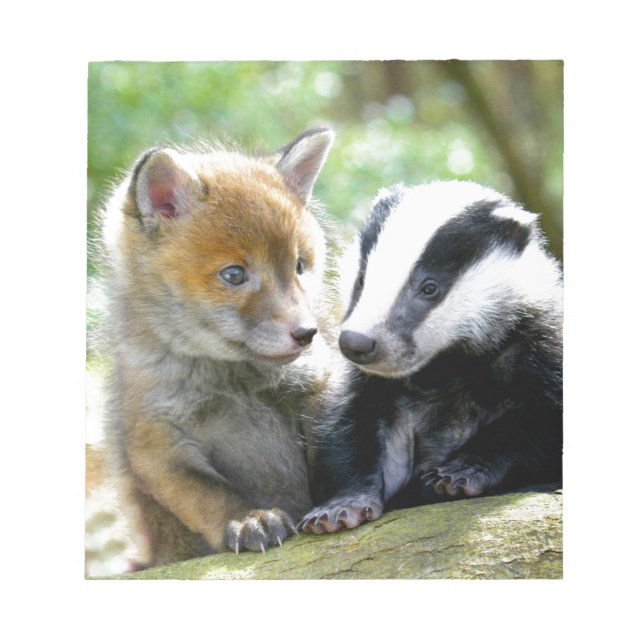 Bloco De Notas Foxcub e Badger Cute! (Frente)