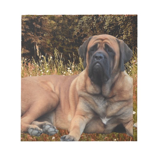 Bloco De Notas Französische Bulldoggen Mastiff Notizblock (Frente)