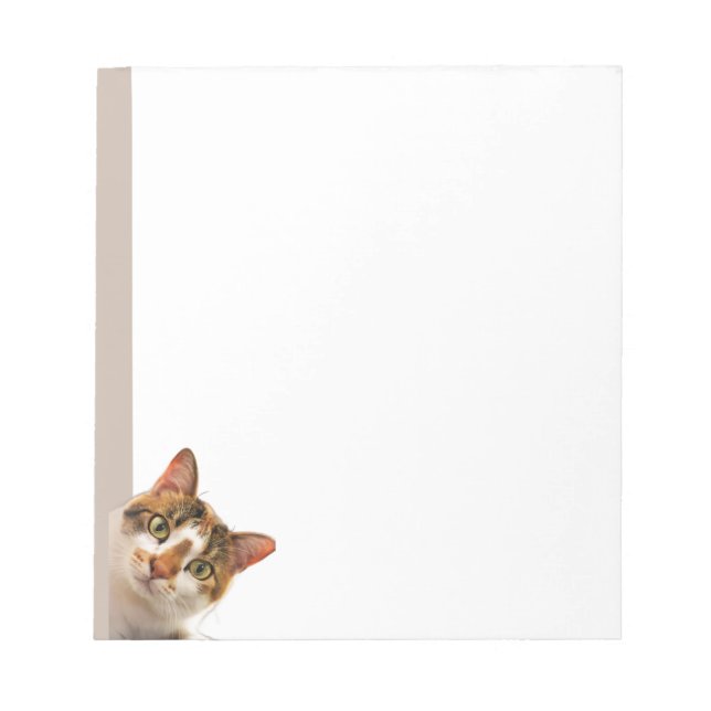 Bloco De Notas Fun Cat Kitten Looking at You Cute Animal Fun (Frente)