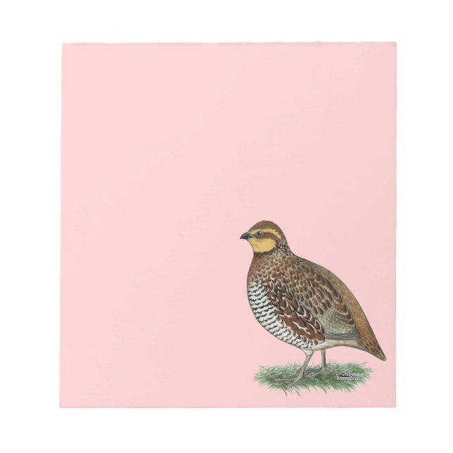 Bloco De Notas Galinha de Codorna Bobwhite (Frente)