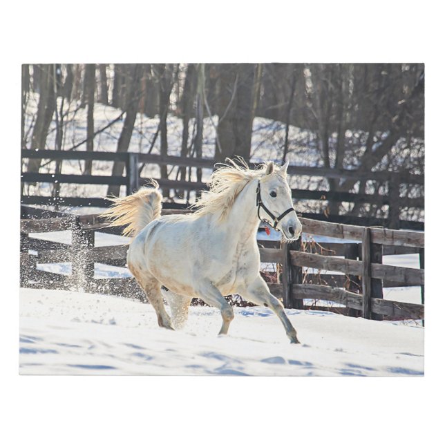 Bloco De Notas Galloping White Horse (Frente)