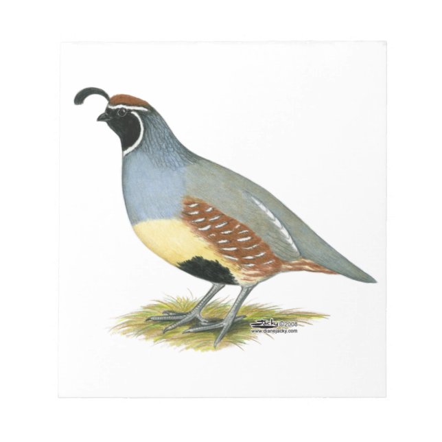 Bloco De Notas Gambel's Desert Quail (Frente)