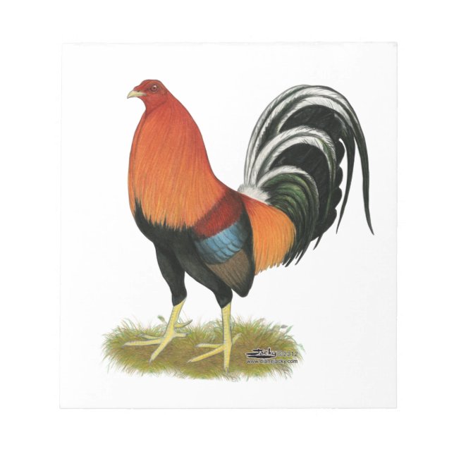 Bloco De Notas Gamecock Wheaten Rooster (Frente)