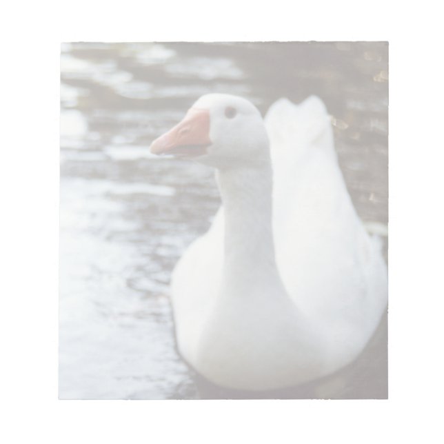 Bloco De Notas Ganso Branco (Frente)