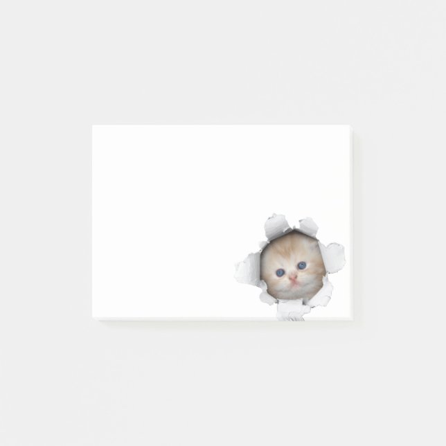 Bloco De Notas Gatinho (Frente)