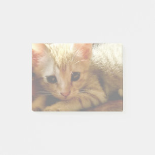 Bloco De Notas Gatinho Bonito