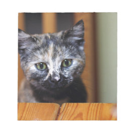 Bloco De Notas Gatinho branco e preto