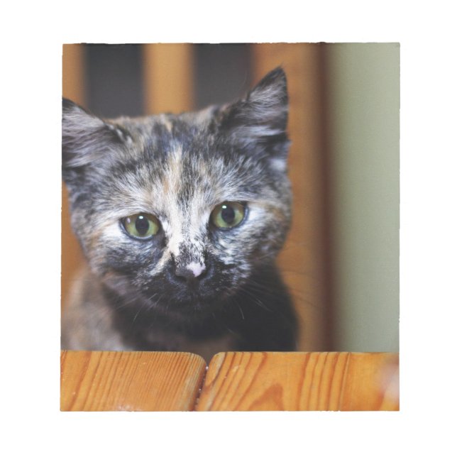 Bloco De Notas Gatinho branco e preto (Frente)