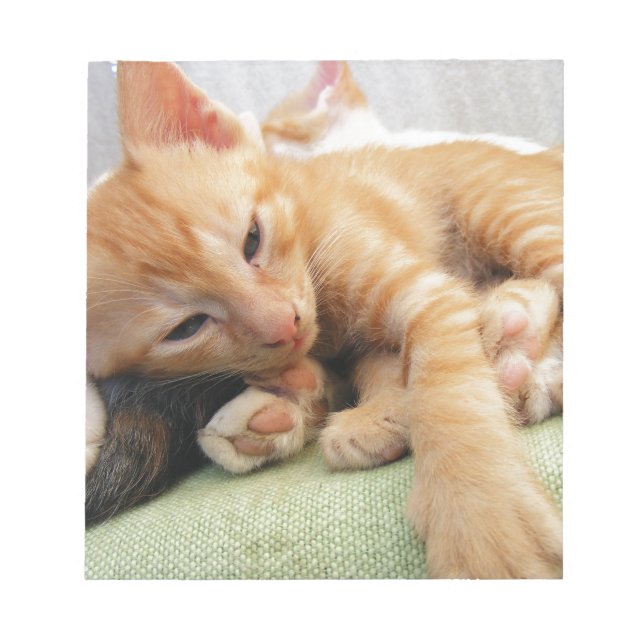 Bloco De Notas Gatinho De Gelado De Tigre (Frente)