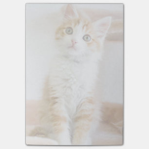 Bloco De Notas Gatinho de Olhos Azuis Doce