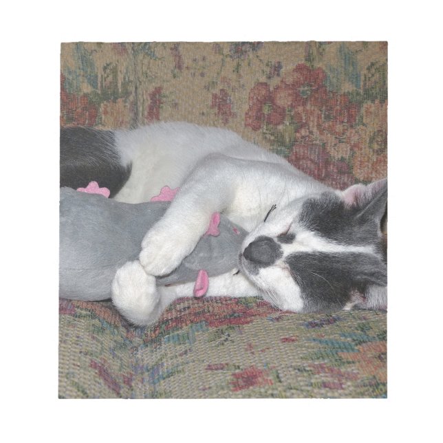 Bloco De Notas Gatinho Dormindo (Frente)