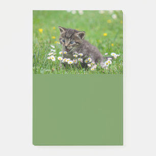 Bloco De Notas Gatinho-Gatinho