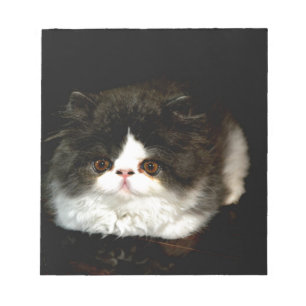 Bloco De Notas Gatinho Preto e Branco