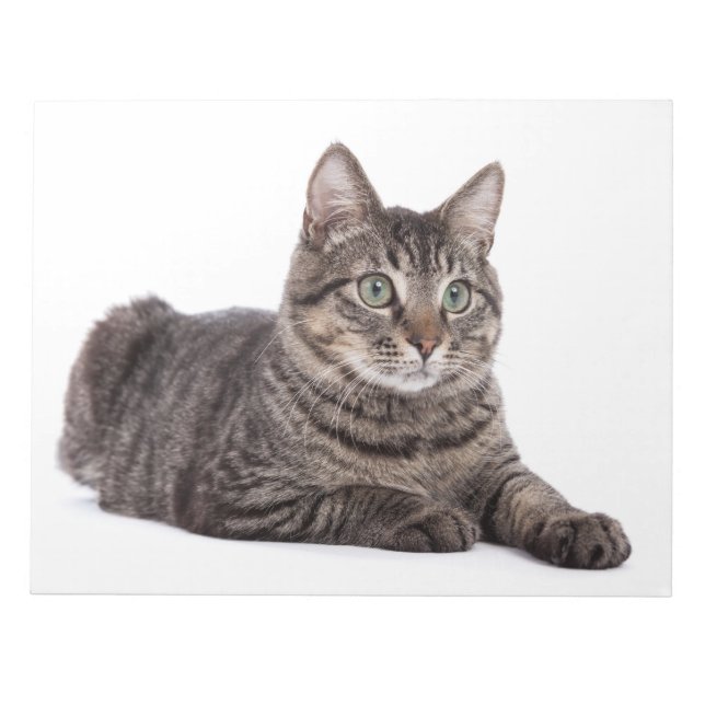 Bloco De Notas Gato (Frente)