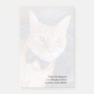 Bloco De Notas gato arco