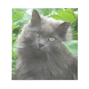 Bloco De Notas Gato Azul Russo de Cinza Longa