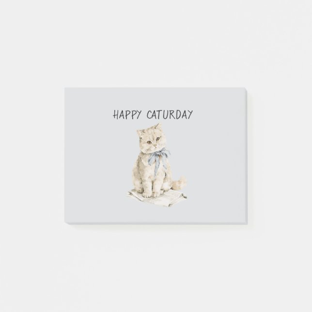 Bloco De Notas Gato Creme Laço Azul Caturday (Frente)